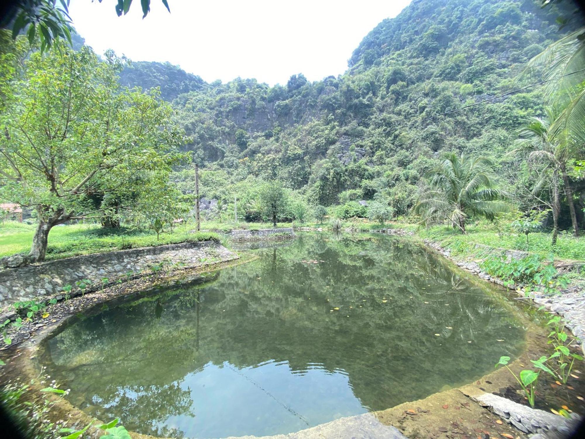 Tam Coc Moutainside Homestay Ніньбінь Екстер'єр фото
